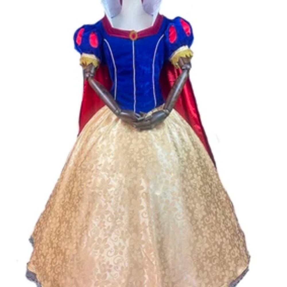 Snow White adult cosplay- super fancy and beautiful costume